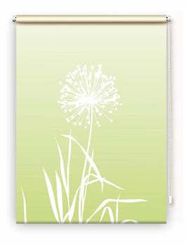 Allium Rollo Apfelgrün
